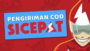 layanan sicepat