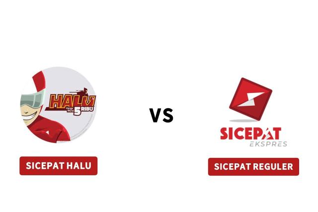 perbedaan reguler dan halu