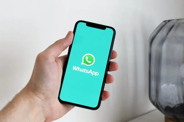 whatsapp blast adalah