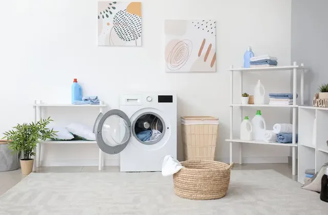 usaha laundry rumahan