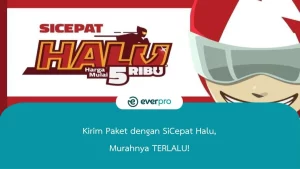 Kirim Paket dengan SiCepat Halu, Murahnya TERLALU!