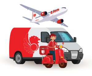 Lion Parcel - Everpro